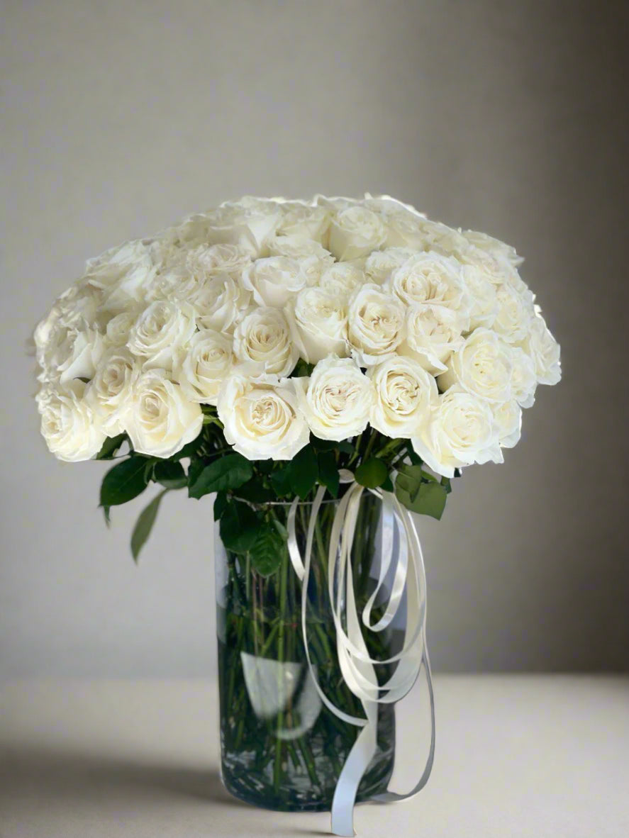 100 White Roses