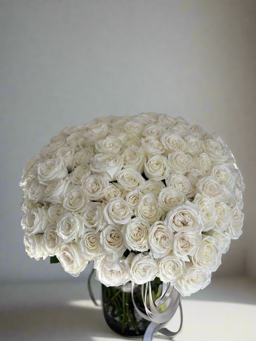 100 White Roses