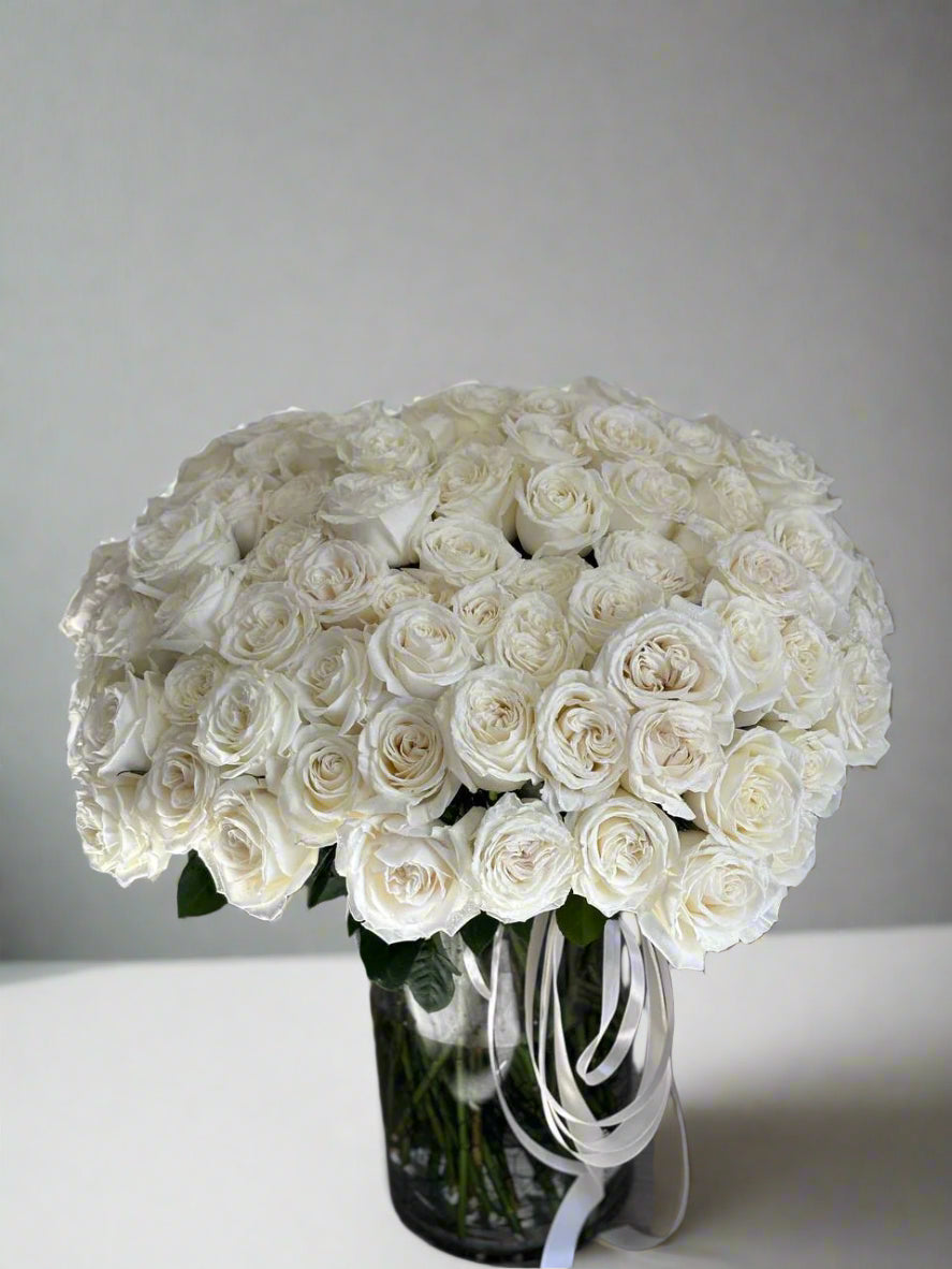 100 White Roses