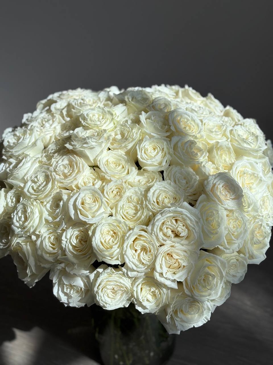 100 White Roses